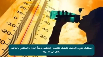 استقرار جوي.. الأرصاد تكشف تفاصيل الطقس وغداً الحرارة العظمى بالقاهرة تصل إلى 35 درجة